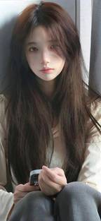 熊出没